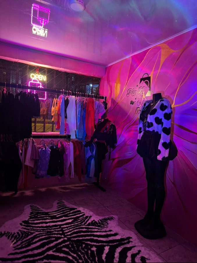 Vista general de la tienda con la luz de neón encendida: los racks de ropa, el maniquí y la alfombra de cebra